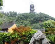 蒙城天气预报7天